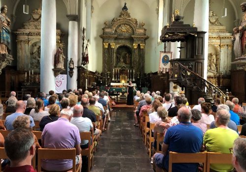 Velo Musique davidsfonds zottegem