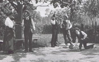 krulbol in de tuin van een cafe in de molenhoekstraat te nederbrakel krulbol in de tuin van een cafe in de molenhoekstraat te nederbrakel